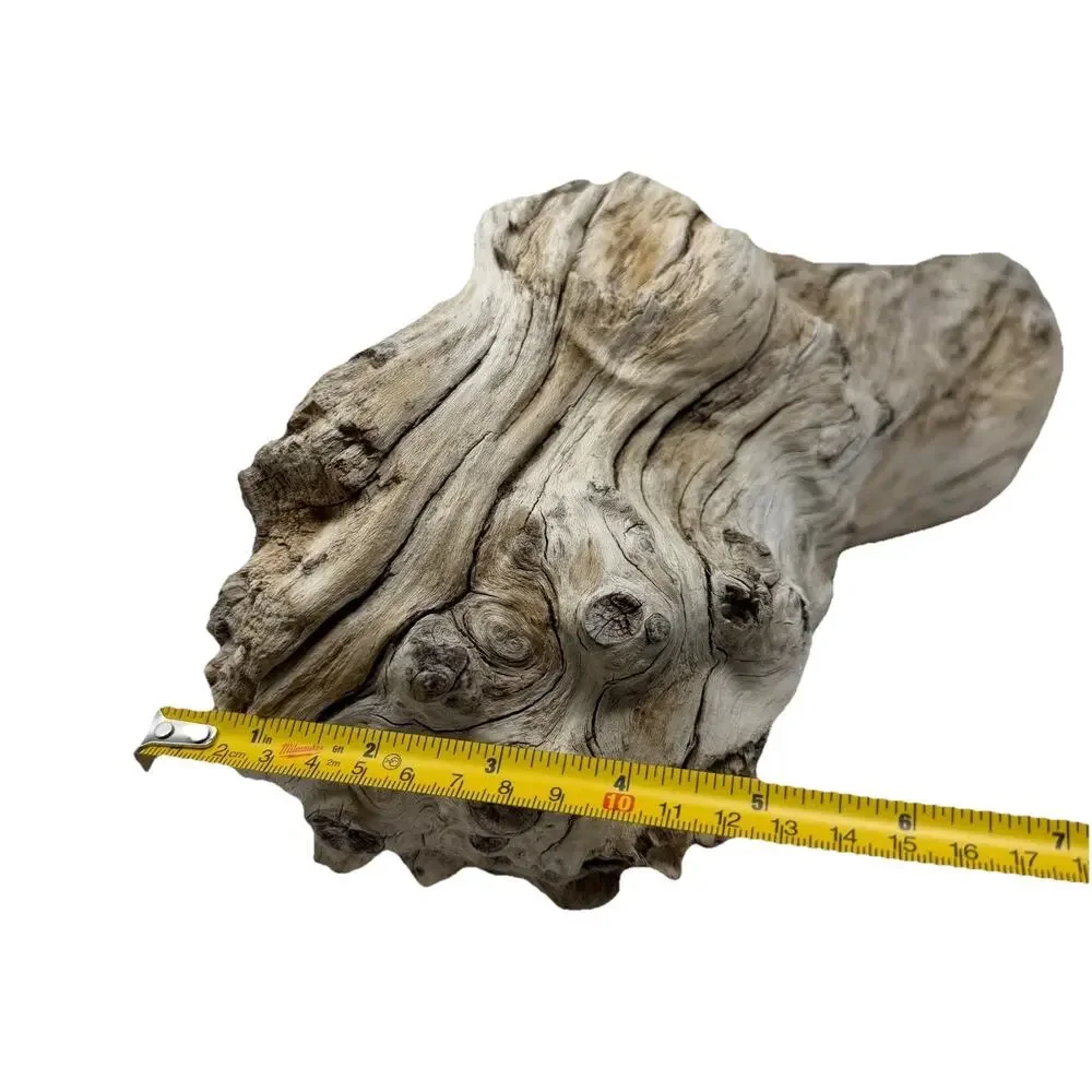 Large White Weathered Driftwood Log Sculpture – Natural Coastal Decor Statement